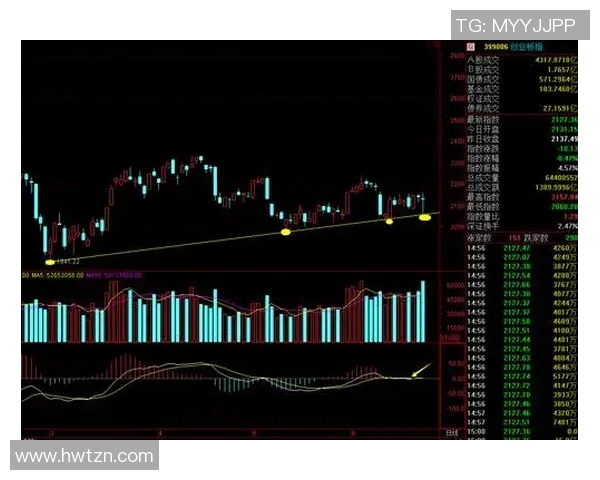 深入分析上海网球队的进攻策略与战术特点探讨