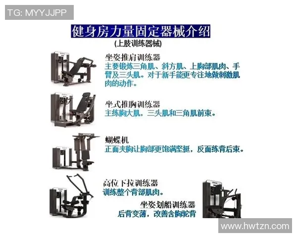 胳膊肌肉锻炼器材推荐：塑造强大上臂的设备